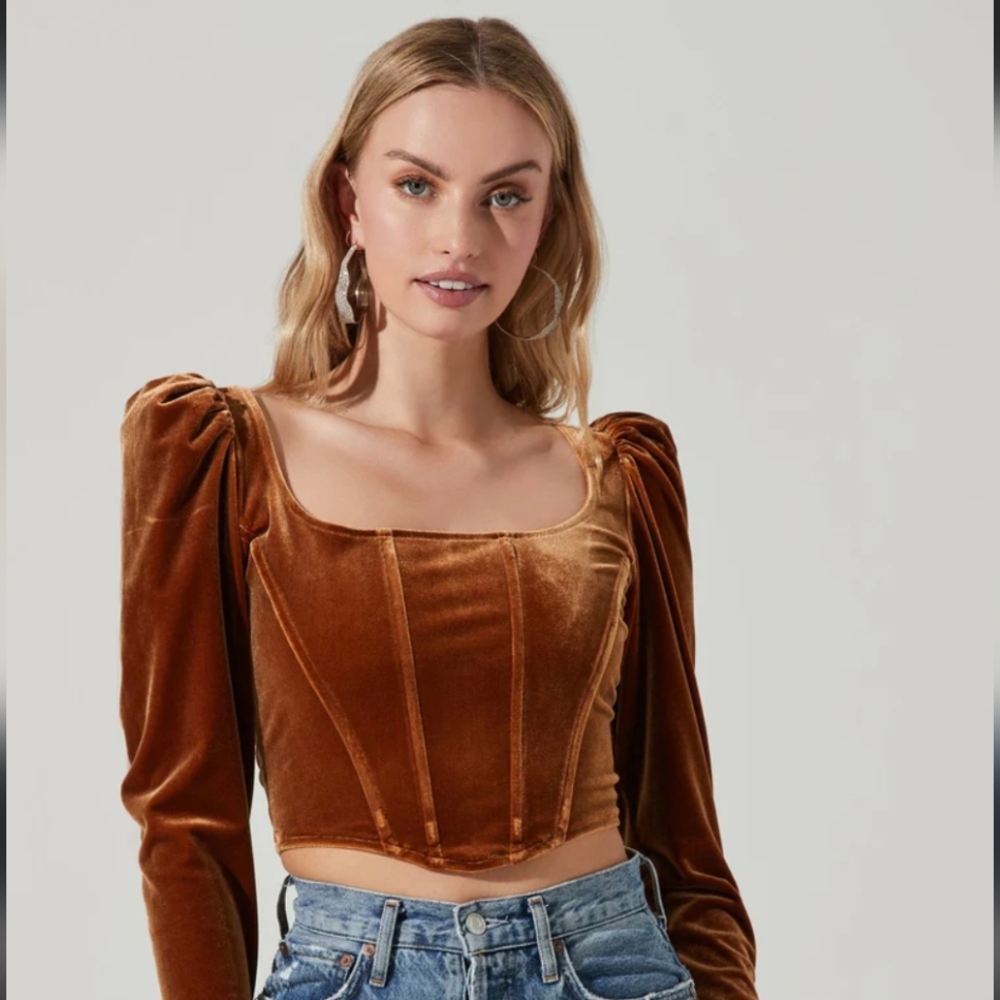 NWOT- ASTR The Label Ashbury Velvet Corset Long Sleeve Top in Gold
